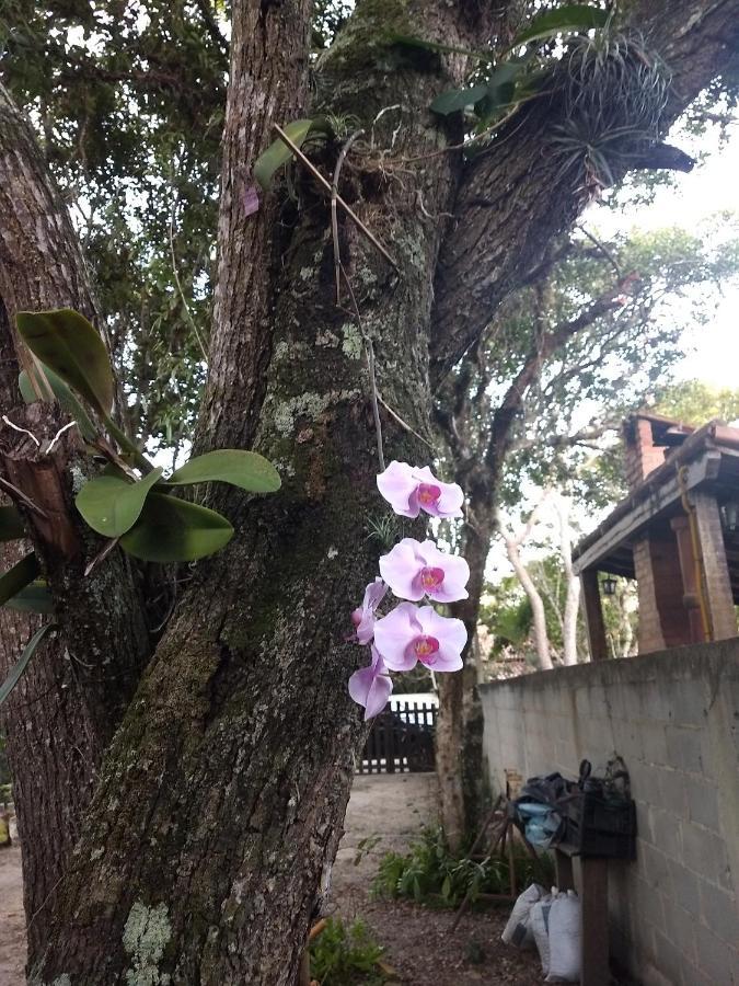 Casa Das Orquideas Arraial do Cabo Buitenkant foto